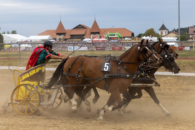 媒体领域 媒体领域